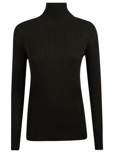 P.a.r.o.s.h Rilla High Ribbed Viscose Turtleneck Sweater In Black