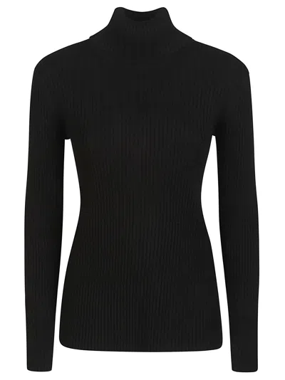 P.a.r.o.s.h Rilla Ribbed Viscose Turtleneck Sweater In Black