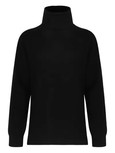 P.a.r.o.s.h Roll-neck Sweater In Black