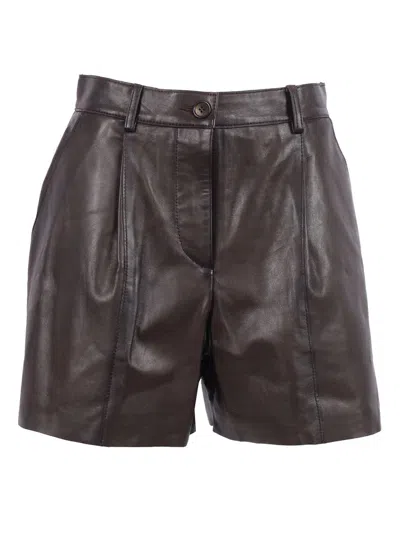 P.a.r.o.s.h . Shorts In Brown