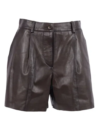 P.a.r.o.s.h Shorts In Brown