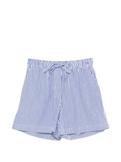 P.a.r.o.s.h Parosh Striped Cotton Shorts In Blue