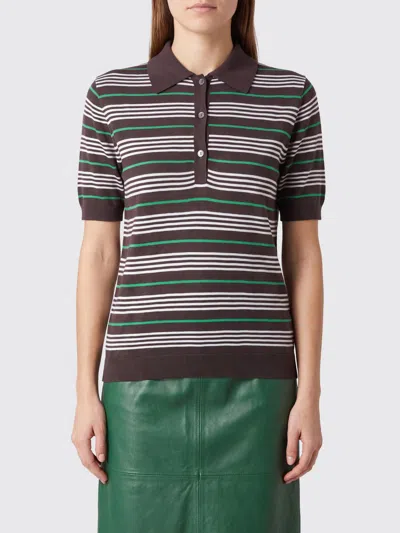 P.a.r.o.s.h Parosh Sweater Woman Color Brown In Multi