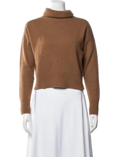 Pre-owned P.a.r.o.s.h Turtleneck Sweater In Brown
