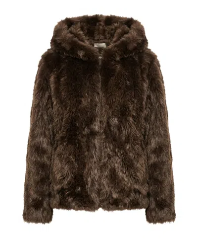 P.a.r.o.s.h Zip-up Hooded Jacket In Brown