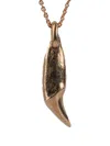 Parts Of Four Bear-tooth Necklace In Brown