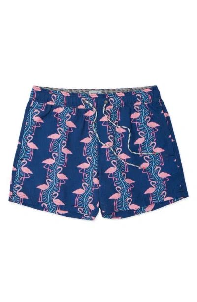 Party Pants Flamingles Party Starter 5-inch Swim Trunks In Blue