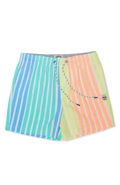 Party Pants Jersey Shore Party Starter 5-inch Swim Trunks In Multi
