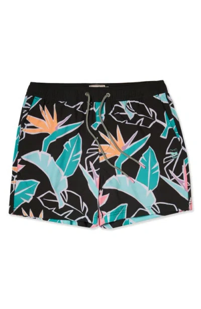 Party Pants Sweet Leaf Party Starter 5-inch Swim Trunks In Black