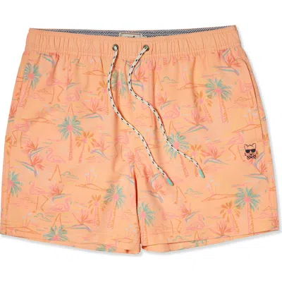 Party Pants Whatha Flock Party Starter 5-inch Swim Trunks In Orange