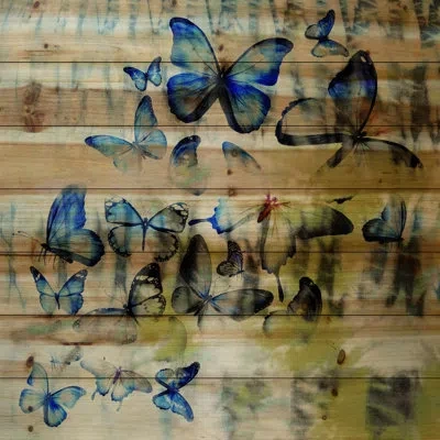 Parvez Taj 'blued Winged Beauties' By  Painting Print On Natural Pine Wood In Blue;yellow