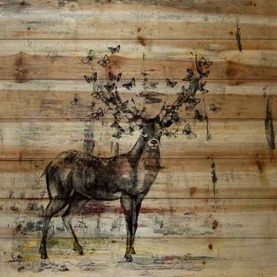 Parvez Taj 'butterfly Antlers' Graphic Print On Natural Pine Wood In Brown;gray
