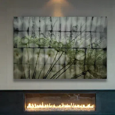 Parvez Taj 'delicate Droplets' By  - Wrapped Canvas Photographic Print On Canvas In Green;gray