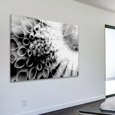 Parvez Taj 'floral Shadows' By  Painting Print On Wrapped Canvas In Black;white