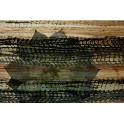 Parvez Taj 'grainy Flower' By  Painting Print On Natural Pine Wood In Black;green;gray