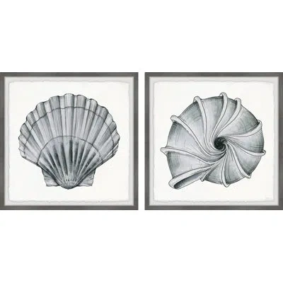 Parvez Taj Metallic Shells Diptych By  - 2 Piece Picture Frame Painting Print In Blue,gray,brown