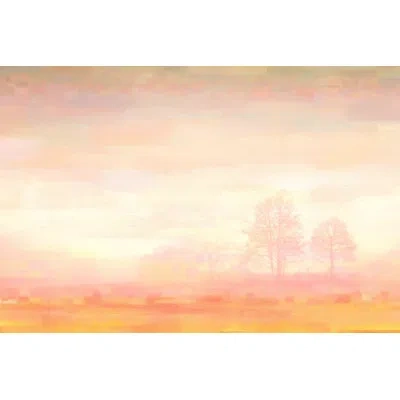 Parvez Taj 'orange Mist' By  Wrapped Canvas Painting Print In Pink;orange