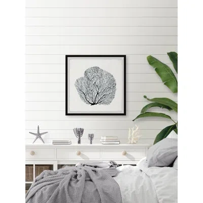 Parvez Taj Sea Fern By  - Picture Frame Print On Paper In Black,white