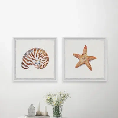 Parvez Taj Starry Shell By  - 2 Piece Picture Frame Graphic Art Set In Blue;brown;orange