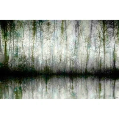 Parvez Taj 'wispy Trees Reflect' By  Graphic Art Print On Wrapped Canvas In Green;gray