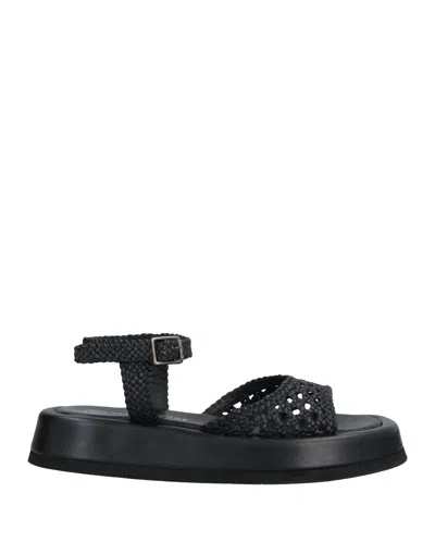 Pas De Rouge Sandals In Black