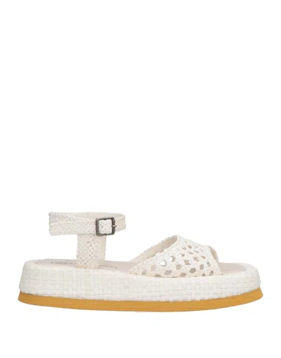 Pas De Rouge Sandals In Off White