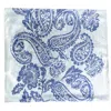 Pashmisy Women's Blue / Neutrals Navy Paisley Habotai Silk Scarf