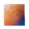 Pashmisy Women's Brown / Blue / Neutrals Silk Scarf In Bronze With Animal Print