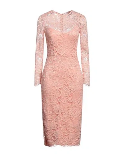 Passepartout Dress By Elisabetta Franchi Celyn B. Woman Midi Dress Blush Size 2 Polyamide, Viscose In Pink
