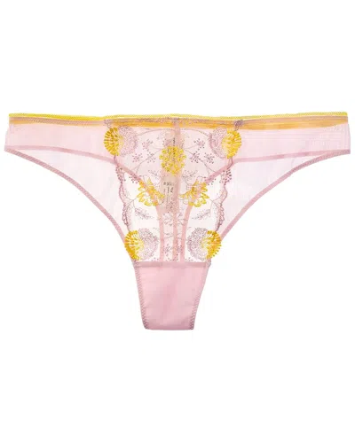Passionata Chloe Lace Thong In Multi