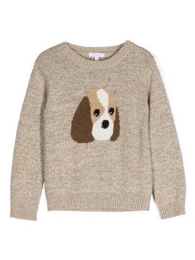Patachou Babies' Intarsia-knit Sweater In Neutrals