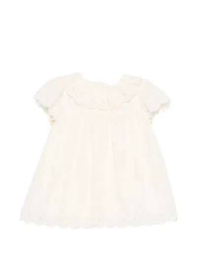 Patachou Babies' Scalloped Embroidered Dress In Brown