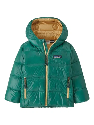 Patagonia Kids' Baby Hi-loft Down Sweater Hooded Puffer Jacket In Green