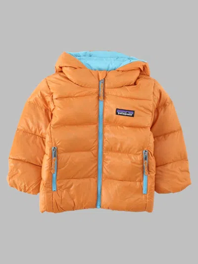 Patagonia Baby Hi-loft Down Sweater Hoodie In Orange