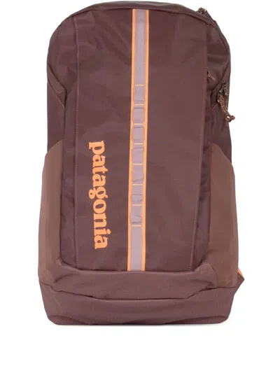 Patagonia Black Hole 25l Panelled Backpack In Purple