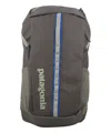 Patagonia Black Hole Pack 25l Backpack In Green