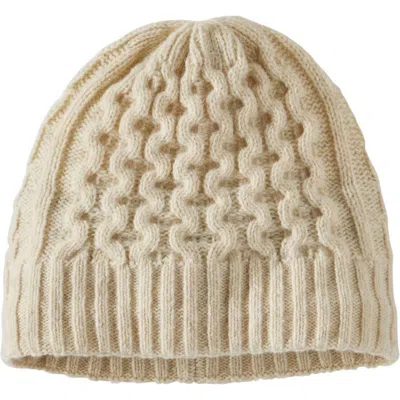 Patagonia Coastal Cable Beanie In Brown