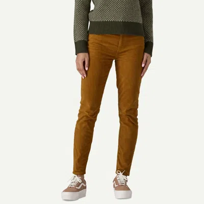 Patagonia Cord Pants In Shelter Brown In Multi