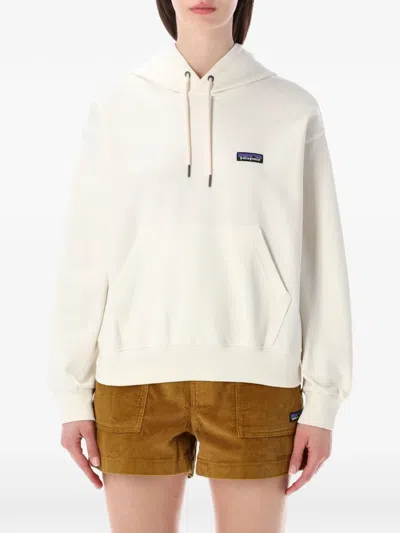 Patagonia Painttagonia Daithend Hoodand Relaxed-fit Pullover Hoodie In Metallic