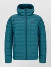 Patagonia Down Sweater Hoodie With 800-fill Goose Down And Adjustable Hood In Blue