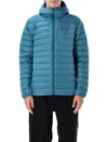 Patagonia Down Sweater Hoodie With 800-fill Goose Down And Adjustable Hood In Blue