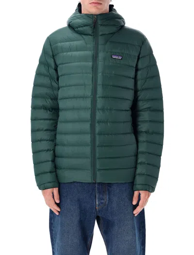 Patagonia Down Sweater Insulated Hoody In Green