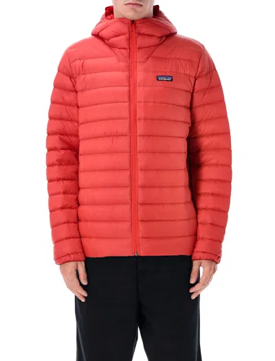 Patagonia Down Sweater Insulated Hoody In Red