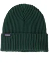 Patagonia Fishermans Rolled Beanie In Green
