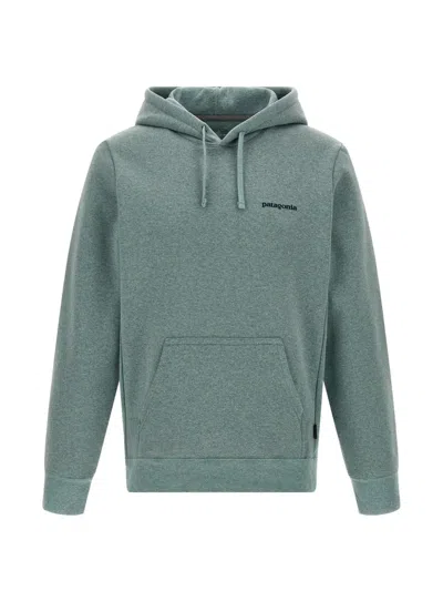 Patagonia Graphic-print Hoodie In Gray