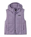 Patagonia Hooded Vest In Purple