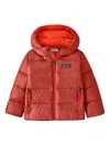 Patagonia Hooded Zip-fastening Jacket In Red