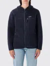 Patagonia Retro Pile Fleece Jacket In Blue
