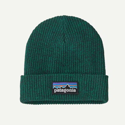 Patagonia Kids' Logo Beanie In Solo Teal In Green