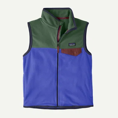 Patagonia Kids' Micro D® Snap-t® Fleece Vest In Eddy Blue In Pink